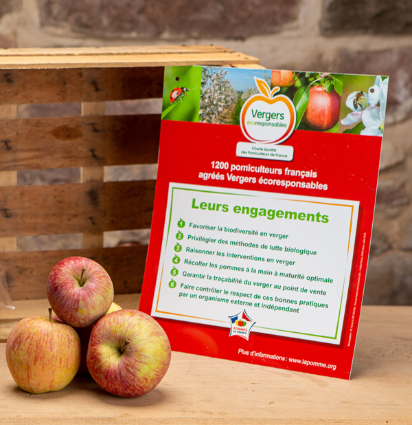 verger-ecoresponsable-alsace-westhoffen-Dettling engagement eco responsable
