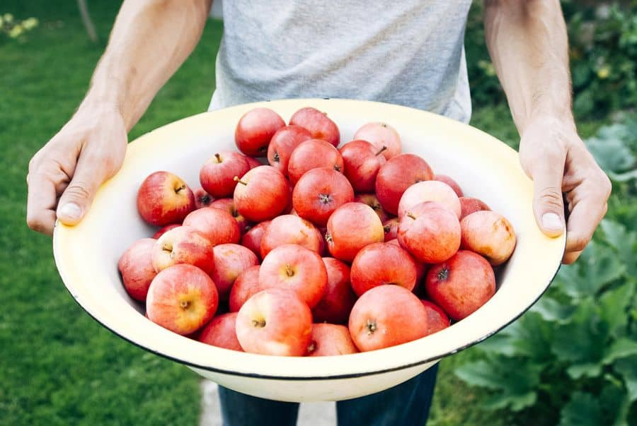 plateau pomme Des pommes des Vergers Dettling à Westhoffen